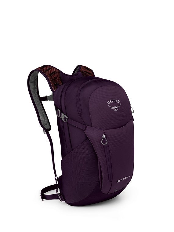dayliteplus_f19_side_amuletpurple